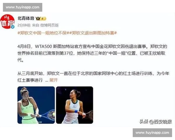 因伤退出男子单打比赛 揭秘运动员背后的辛酸与坚持